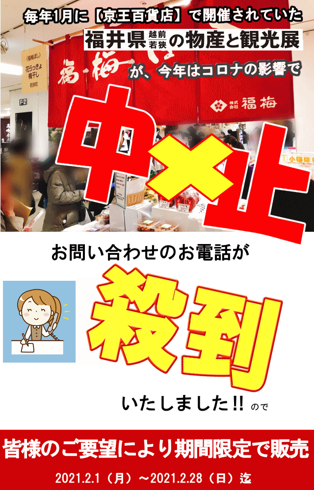 規格外 梅干し こんぶ福梅ぼし 500g こんぶ 福井県産 訳あり